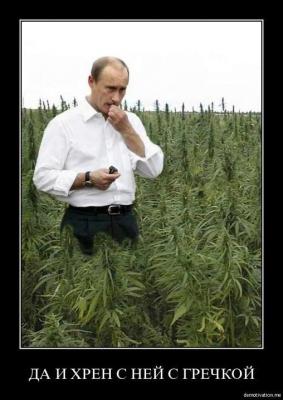 Прикрепленное изображение: 9439_n.jpg